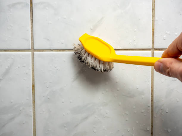 Best Same-Day Mold Removal  in Venice, FL
