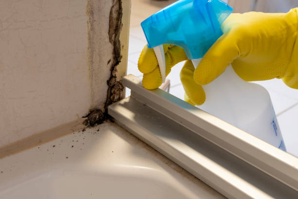 Best Crawl Space Mold Removal  in Venice, FL