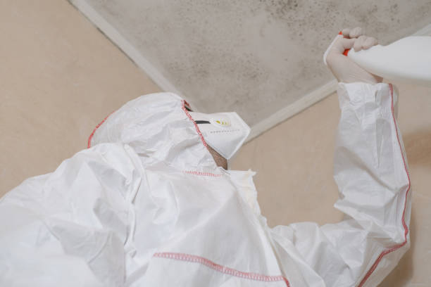 Best Home Mold Removal  in Venice, FL